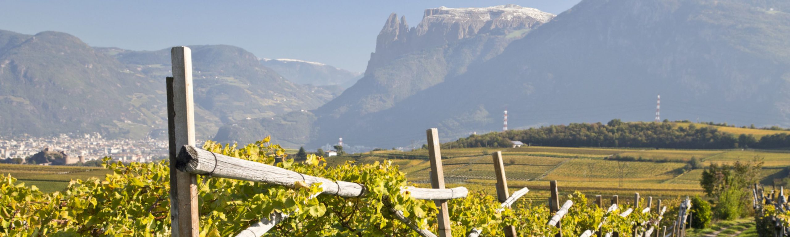 Bezirk Bozen Stadt & Land Die Freiheitlichen