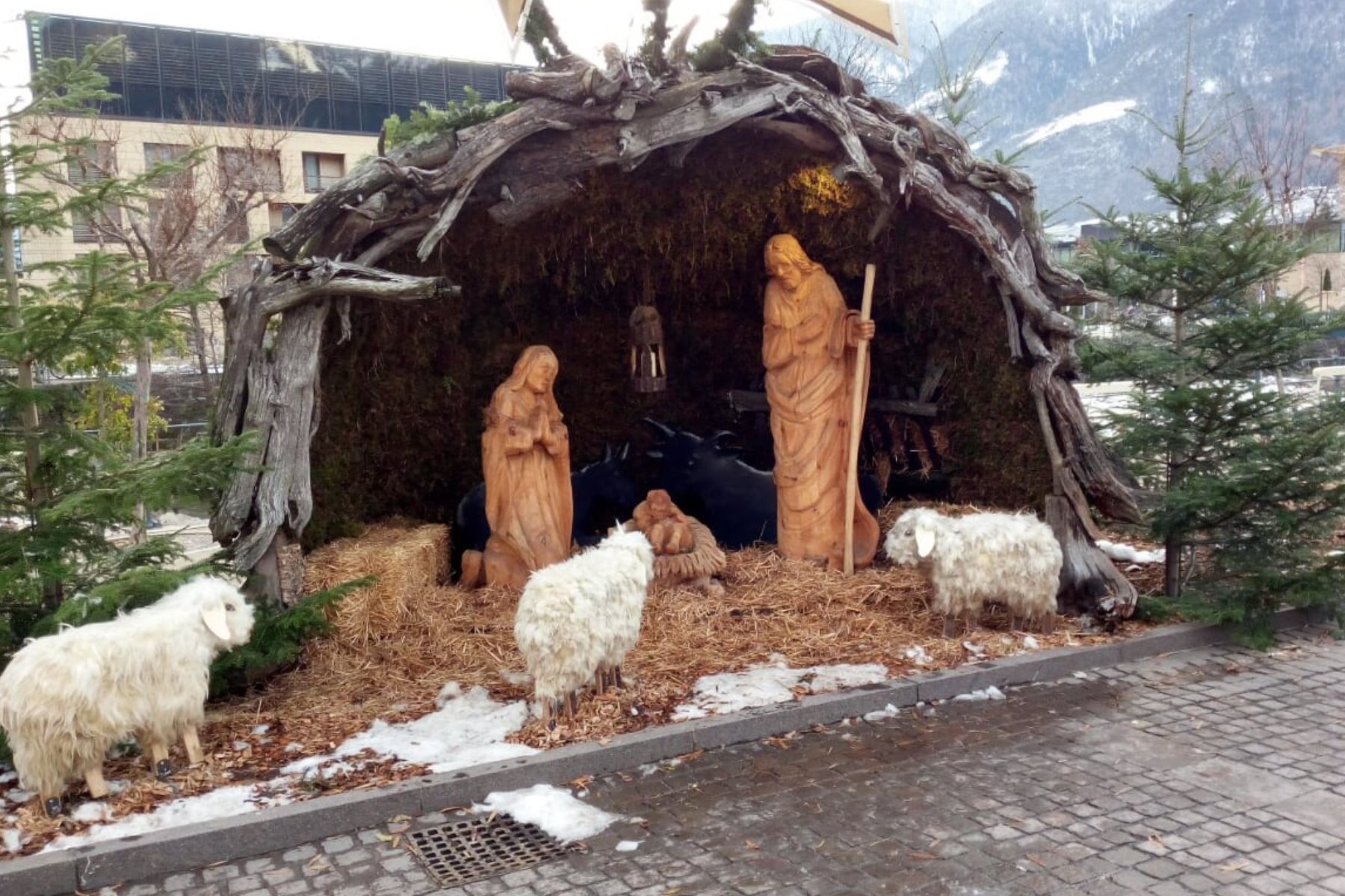 Weihnachtsgedanken der Meraner Freiheitlichen